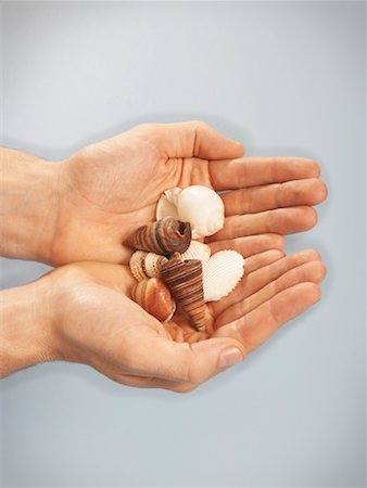 simsearch:700-01042880,k - Person's Hands Holding Seashells Stock Photo - Premium Royalty-Free, Code: 600-00934698
