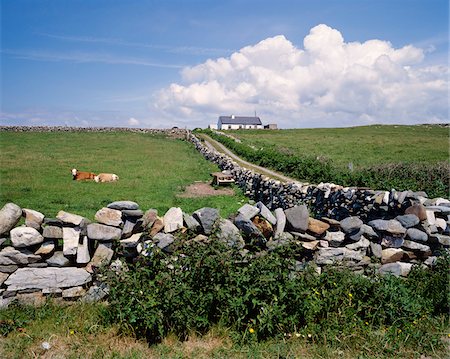 simsearch:700-02670977,k - Stone Wall, Connemara, Ireland Stock Photo - Premium Royalty-Free, Code: 600-00983305