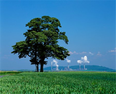 ecological footprint - Tree in Field, Brown Coal Power Plant In Background, Neurath near Grevenbroich, Germany Stock Photo - Premium Royalty-Free, Code: 600-00983325