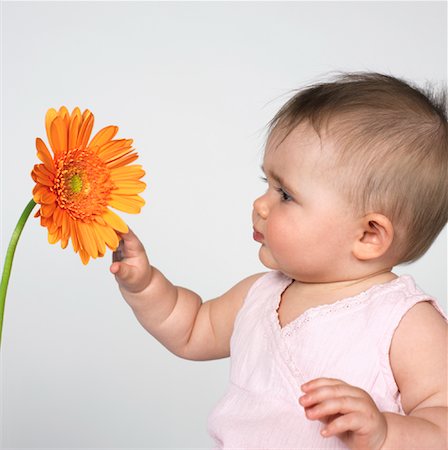 simsearch:600-01172751,k - Baby with Gerbera Daisy Stock Photo - Premium Royalty-Free, Code: 600-00983805