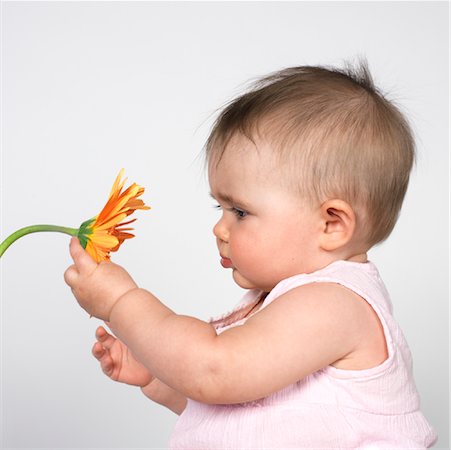 simsearch:700-02586125,k - Baby with Gerbera Daisy Stock Photo - Premium Royalty-Free, Code: 600-00983806