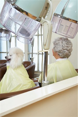 simsearch:600-01112551,k - Woman in Hair Salon with Poodle Stock Photo - Premium Royalty-Free, Code: 600-01037749