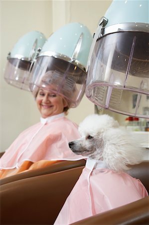 funny pampered dog - Woman and Poodle at Hair Salon Stock Photo - Premium Royalty-Free, Code: 600-01037740
