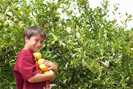 simsearch:600-01043390,k - Portrait of Boy in Orchard Stock Photo - Premium Royalty-Free, Code: 600-01043385
