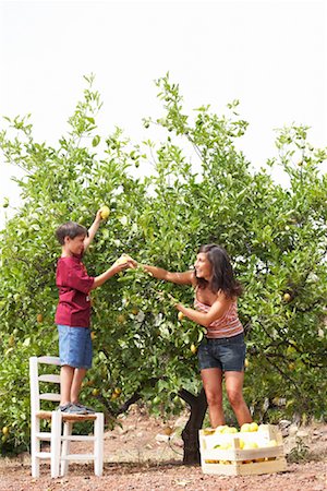 simsearch:600-01043390,k - Mother and Son in Orchard Stock Photo - Premium Royalty-Free, Code: 600-01043381