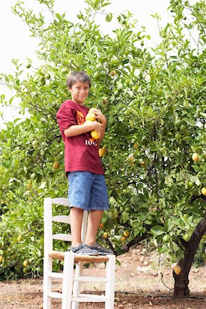 simsearch:600-01043390,k - Portrait of Boy in Orchard Stock Photo - Premium Royalty-Free, Code: 600-01043383