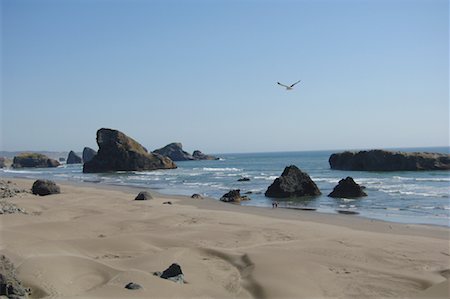 simsearch:600-02265124,k - Overview of Beach, Oregon, USA Stock Photo - Premium Royalty-Free, Code: 600-01072984
