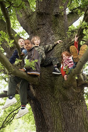 simsearch:600-01100083,k - Children Sitting in Tree Stock Photo - Premium Royalty-Free, Code: 600-01100060