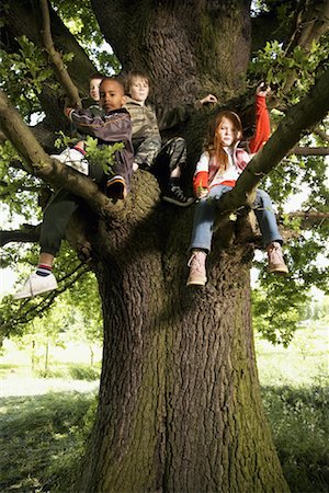 simsearch:700-00042541,k - Children Sitting in Tree Foto de stock - Sin royalties Premium, Código: 600-01100062