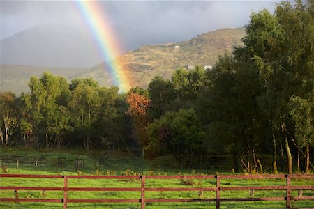 rainbow field - Rainbow over Pasture, Scotland Stock Photo - Premium Royalty-Free, Code: 600-01110655