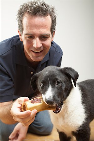 simsearch:600-01123758,k - Homme donnant une gâterie pour chiens Photographie de stock - Premium Libres de Droits, Code: 600-01112009