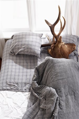 simsearch:600-01124355,k - Deer Head in Bed Stock Photo - Premium Royalty-Free, Code: 600-01124358