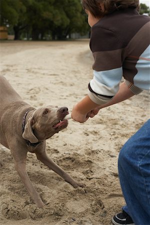 simsearch:700-00071488,k - Boy Playing Tug-of-War with Dog on Beach Stock Photo - Premium Royalty-Free, Code: 600-01123686