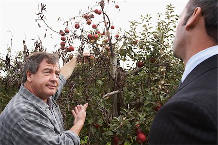 simsearch:693-03312660,k - Businessman and Farmer in Orchard Stock Photo - Premium Royalty-Free, Code: 600-01196540