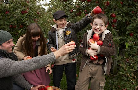 family apple orchard - People Picking Apples at Orchard Photographie de stock - Premium Libres de Droits, Code: 600-01196564