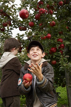 family apple orchard - Boys in Apple Orchard Photographie de stock - Premium Libres de Droits, Code: 600-01196566