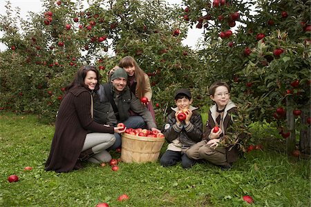 family apple orchard - People Picking Apples at Orchard Photographie de stock - Premium Libres de Droits, Code: 600-01196567