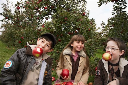 family apple orchard - Children in Apple Orchard Photographie de stock - Premium Libres de Droits, Code: 600-01196568