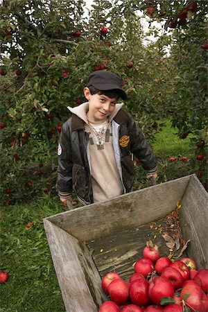 Boy with Wheelbarrow Full of Apples Stock Photo - Premium Royalty-Free, Code: 600-01196573