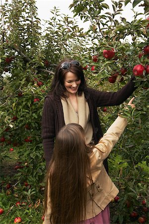 simsearch:700-03067841,k - Mother and Daughter in Apple Orchard Photographie de stock - Premium Libres de Droits, Code: 600-01196585