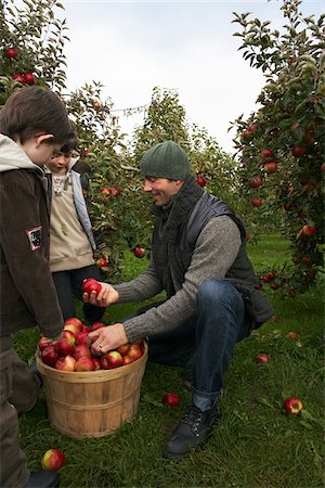 family apple orchard - Father and Sons in Apple Orchard Stock Photo - Premium Royalty-Free, Code: 600-01196587