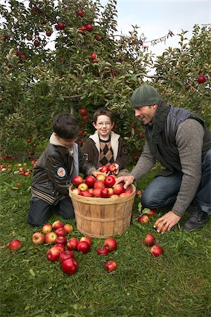 Father and Sons in Apple Orchard Stock Photo - Premium Royalty-Free, Code: 600-01196588