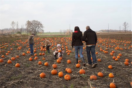 simsearch:700-00073572,k - Family in Pumpkin Patch Stock Photo - Premium Royalty-Free, Code: 600-01196601