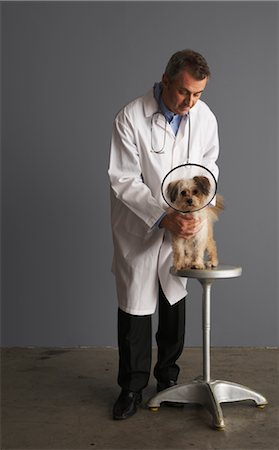 simsearch:600-01199053,k - Vétérinaire avec chien Photographie de stock - Premium Libres de Droits, Code: 600-01199178
