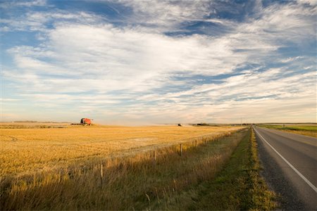 Combine Harvesting Grain Field, Southern Alberta, Canada Stock Photo - Premium Royalty-Free, Code: 600-01236294