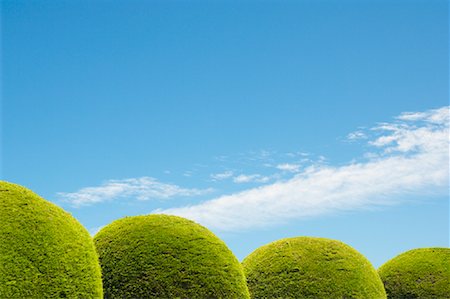 simsearch:600-03004987,k - Round Hedges and Blue Sky Stock Photo - Premium Royalty-Free, Code: 600-01248445
