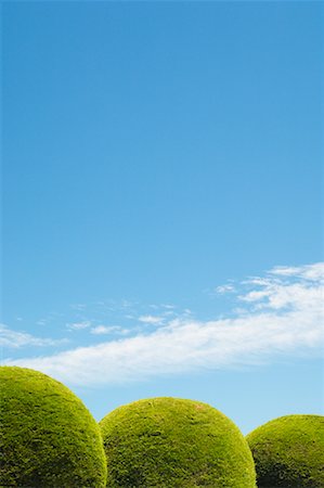 simsearch:600-03004987,k - Round Hedges and Blue Sky Stock Photo - Premium Royalty-Free, Code: 600-01248446