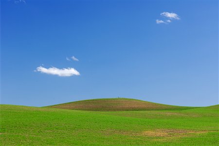 palouse region - Fields near Colfax, Palouse Region, Whitman County, Washington, USA Stock Photo - Premium Royalty-Free, Code: 600-01248769