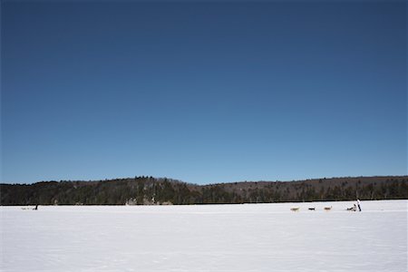 Dog Sledding, Haliburton, Ontario, Canada Stock Photo - Premium Royalty-Free, Code: 600-01248874