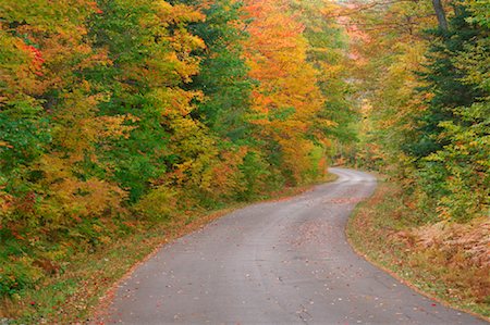 simsearch:600-00062624,k - Forest Road in Autumn, Ontario, Canada Stock Photo - Premium Royalty-Free, Code: 600-01276066