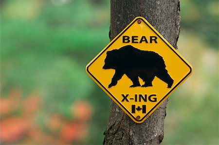 Bear Crossing Sign, Algonquin Provincial, Park, Ontario, Canada Stock Photo - Premium Royalty-Free, Code: 600-01276076