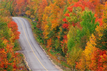 simsearch:600-00062624,k - Forest Road in Autumn, Ontario, Canada Stock Photo - Premium Royalty-Free, Code: 600-01276071