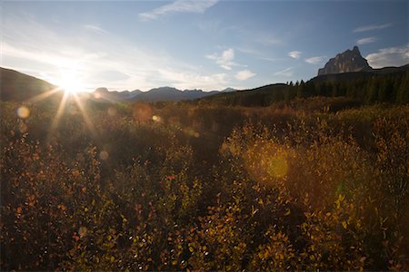 simsearch:600-02957787,k - Sunset over Landscape, Bow River Valley, Banff National Park, Alberta, Canada Stock Photo - Premium Royalty-Free, Code: 600-01296486