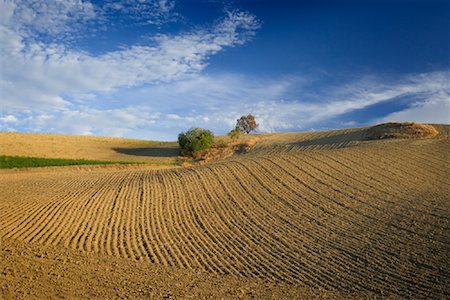 daryl benson landscape - Overview of Farmland, Andalucia, Spain Stock Photo - Premium Royalty-Free, Code: 600-01378802