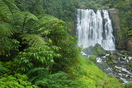 spring (body of water) - Marokopa Falls, King Country, North Island, New Zealand Stock Photo - Premium Royalty-Free, Code: 600-01458404