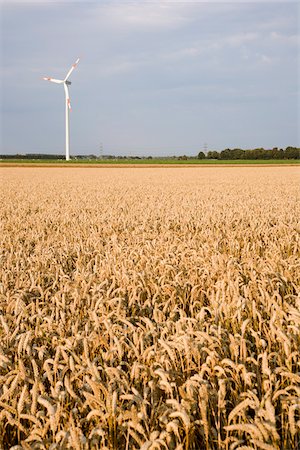 simsearch:600-08169205,k - Wind Turbine in Field Stock Photo - Premium Royalty-Free, Code: 600-01586197