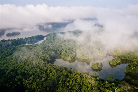 Rainforest along the Panama Canal Panama Stock Photo - Premium Royalty-Free, Code: 600-01594032