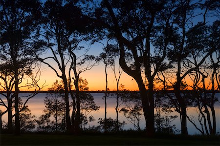 simsearch:600-03290198,k - Coucher de soleil au lac Macquarie, Nouvelle-Galles du Sud, Australie Photographie de stock - Premium Libres de Droits, Code: 600-01603985