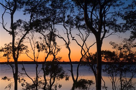 simsearch:600-03290198,k - Coucher de soleil au lac Macquarie, Nouvelle-Galles du Sud, Australie Photographie de stock - Premium Libres de Droits, Code: 600-01603986