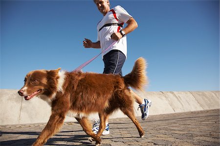 Man Walking Dog Photographie de stock - Premium Libres de Droits, Code: 600-01614565