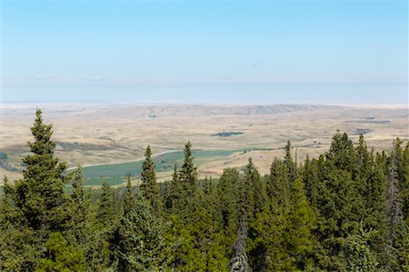 simsearch:600-03778001,k - Overview of Landscape From Cypress Hills, Alberta, Canada Stock Photo - Premium Royalty-Free, Code: 600-01616574