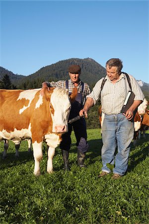 Farmer and Veterinarian with Cow Foto de stock - Sin royalties Premium, Código: 600-01644986