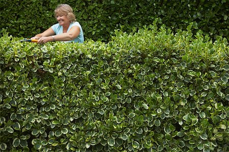 simsearch:600-01645179,k - Woman Trimming Hedge Stock Photo - Premium Royalty-Free, Code: 600-01645150