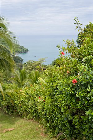 Pacific Ocean and Vegetation, Manuel Antonio National Park, Costa Rica Stock Photo - Premium Royalty-Free, Code: 600-01670858