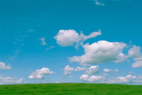 blue sky grass. beautiful sky grass blue sky