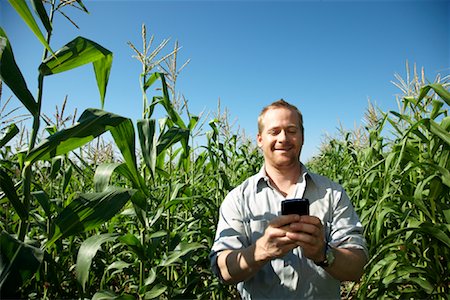 farm phone - Man in Cornfield with Electronic Organizer Foto de stock - Sin royalties Premium, Código: 600-01715970